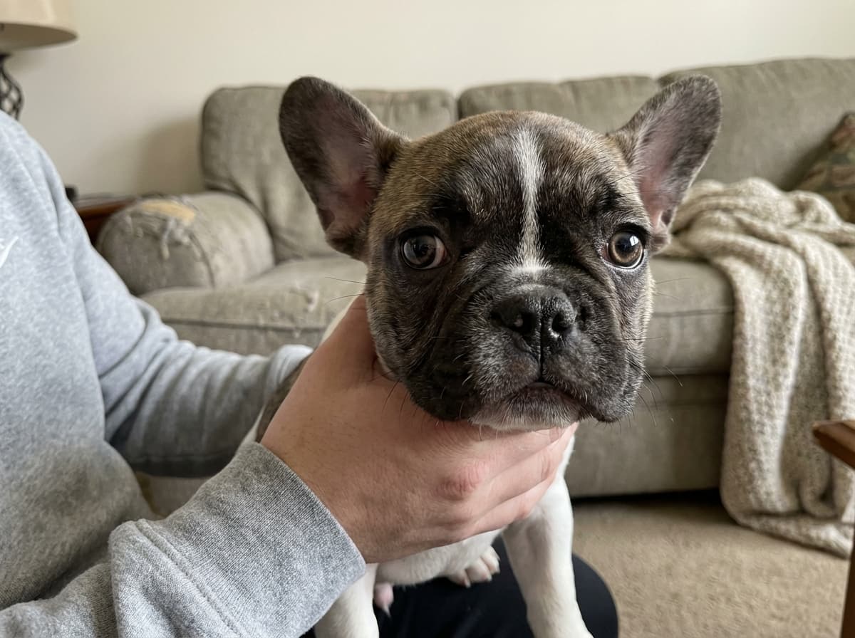 Before transformation